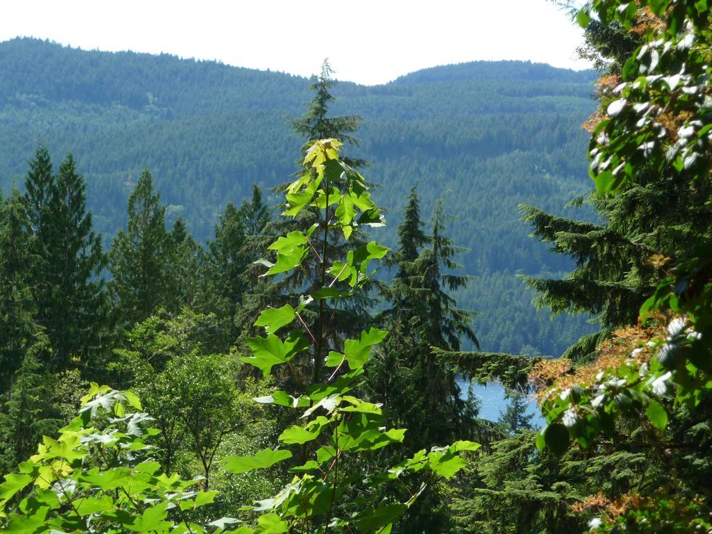 Davis Brook Retreat Panzió Sechelt Kültér fotó