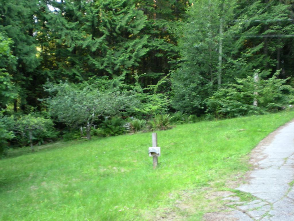 Davis Brook Retreat Panzió Sechelt Kültér fotó