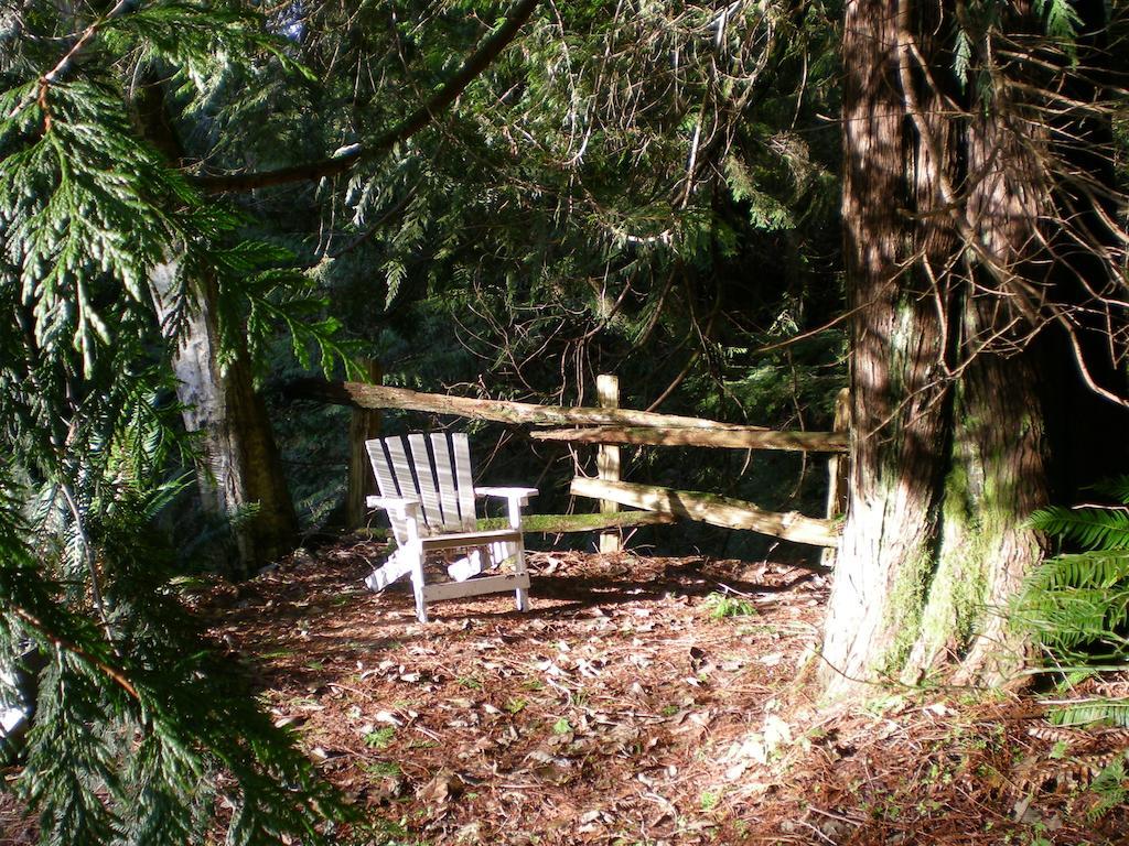 Davis Brook Retreat Panzió Sechelt Kültér fotó