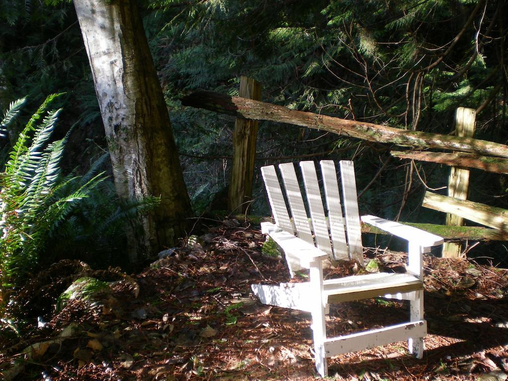 Davis Brook Retreat Panzió Sechelt Kültér fotó