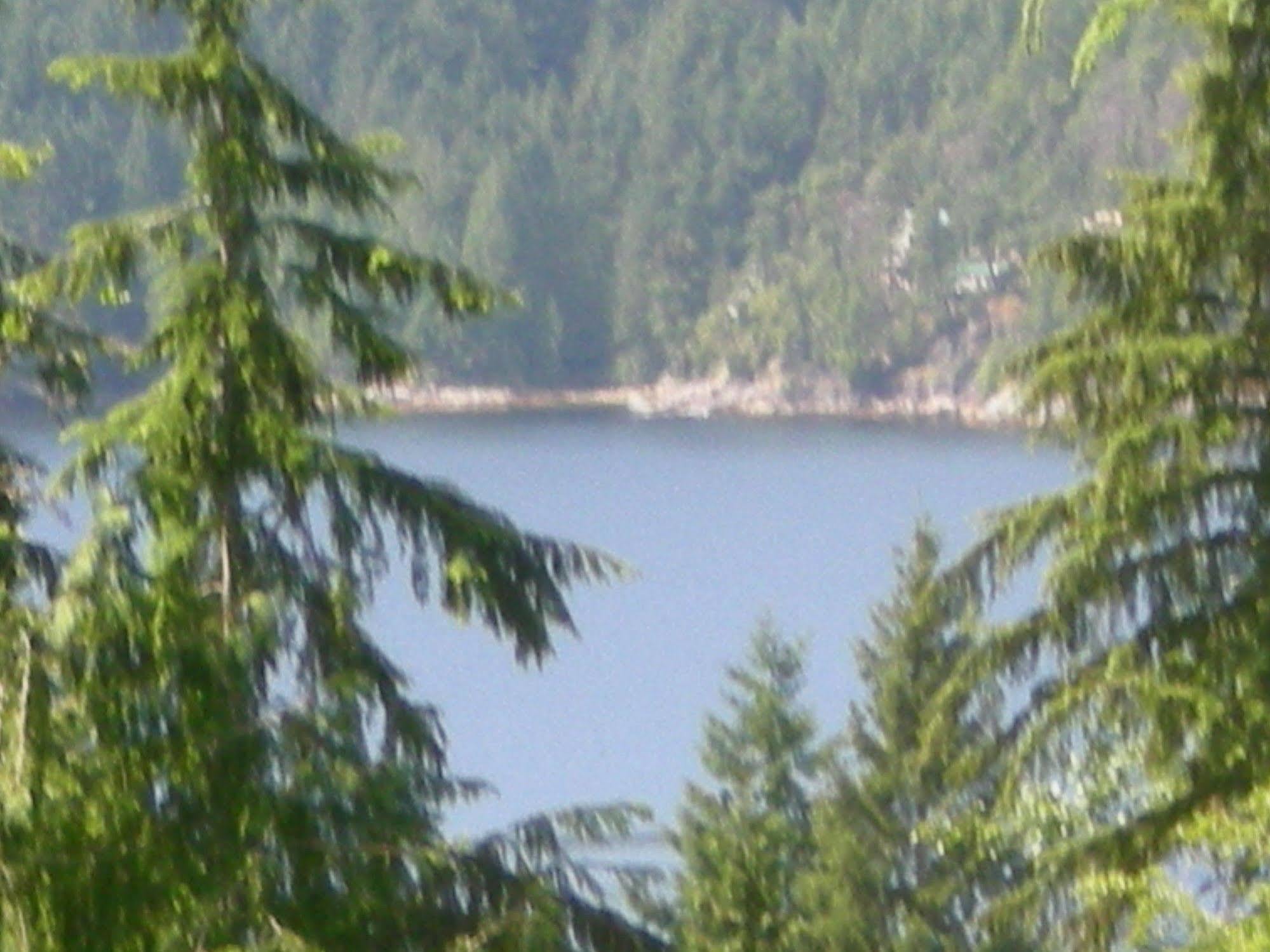 Davis Brook Retreat Panzió Sechelt Kültér fotó