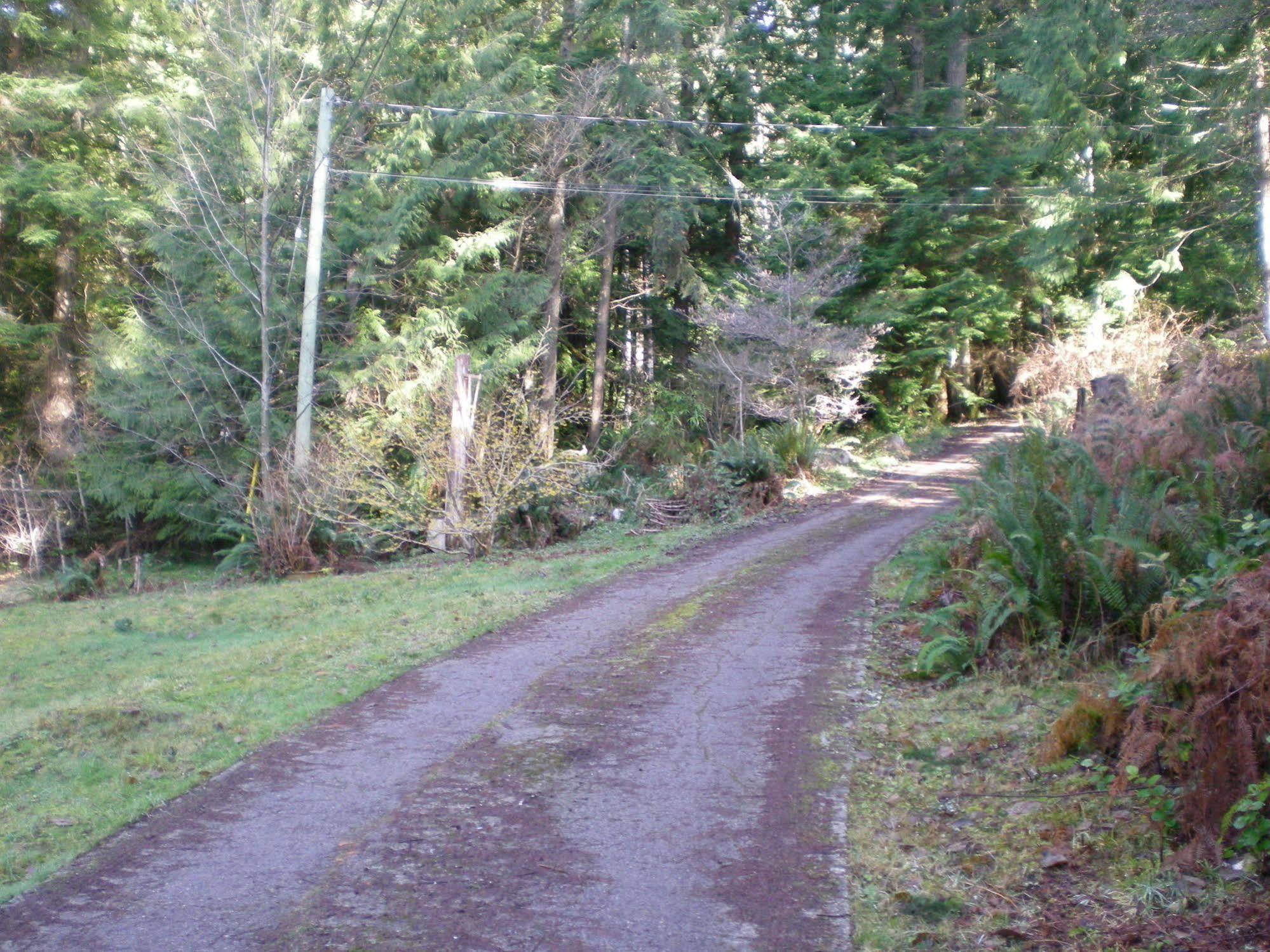 Davis Brook Retreat Panzió Sechelt Kültér fotó